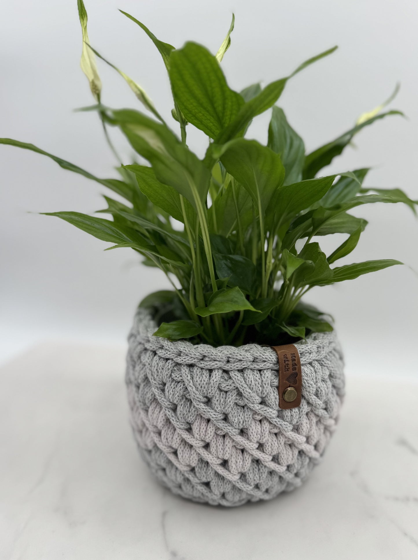 Blumenkorb mit Farbverlauf