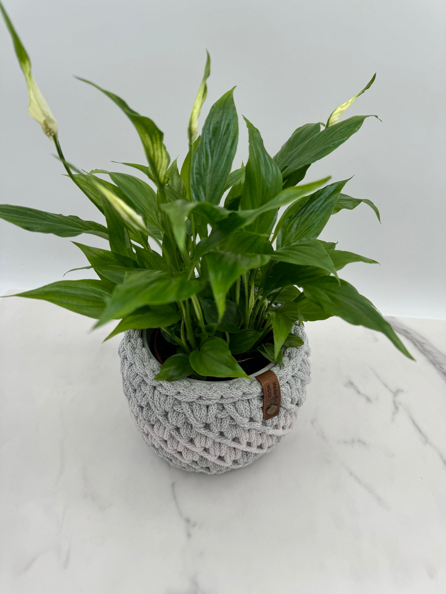 Blumenkorb mit Farbverlauf